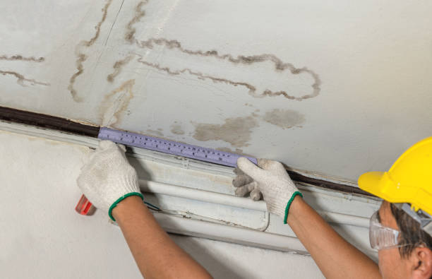 Reliable Burst Pipe Cleanup contractor in Sardis, MS by Water Damage Irwin